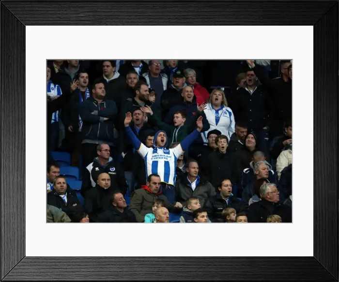 Framed Print : Brighton & Hove Albion vs. Blackburn Rovers (2013-14 Season): A Home Game - 9th November 2013 Framed Print : Brighton & Hove Albion vs. Blackburn Rovers (2013-14 Season): A Home Game - 9th November 2013