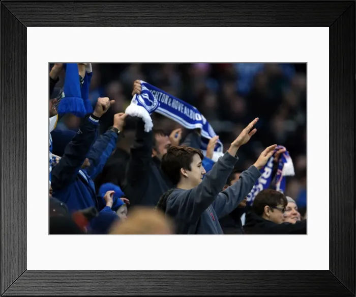 Framed Print : Brighton & Hove Albion vs. Blackburn Rovers (2013-11-09) - A Home Game from the 2013-14 Season Framed Print : Brighton & Hove Albion vs. Blackburn Rovers (2013-11-09) - A Home Game from the 2013-14 Season