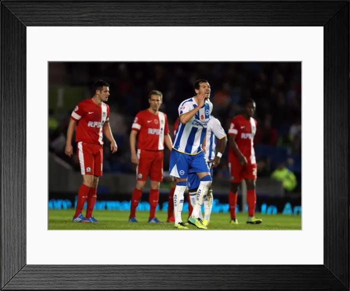 Framed Print : Brighton & Hove Albion vs. Blackburn Rovers (2013-14 Season): Home Game Framed Print : Brighton & Hove Albion vs. Blackburn Rovers (2013-14 Season): Home Game