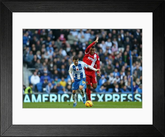 Framed Print : Brighton & Hove Albion vs. Blackburn Rovers (Home Game - 09-11-2013) Framed Print : Brighton & Hove Albion vs. Blackburn Rovers (Home Game - 09-11-2013)