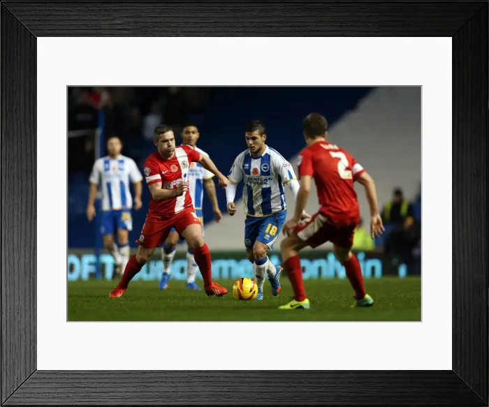 Framed Print : Brighton & Hove Albion vs. Blackburn Rovers (Home Game - 09-11-2013) - Season 2013-14 Framed Print : Brighton & Hove Albion vs. Blackburn Rovers (Home Game - 09-11-2013) - Season 2013-14