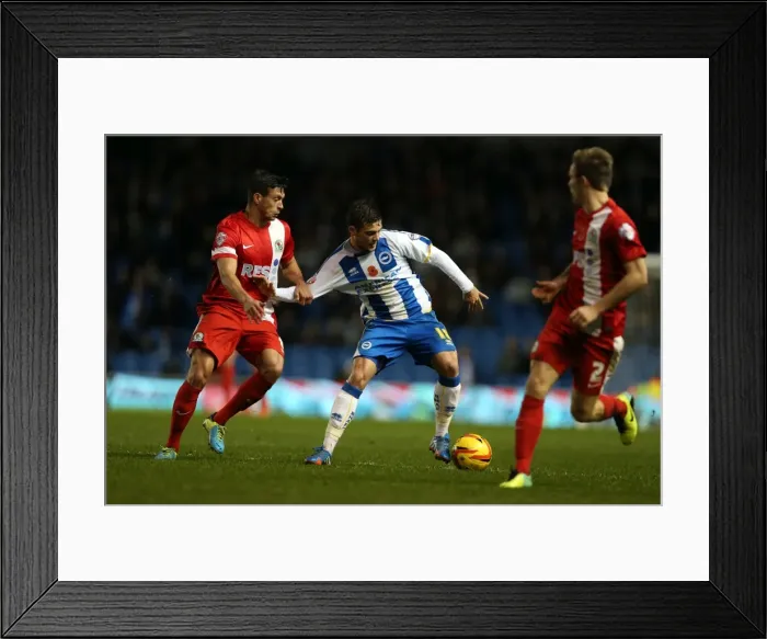 Framed Print : Brighton & Hove Albion vs. Blackburn Rovers (Home Game - 09-11-2013) Framed Print : Brighton & Hove Albion vs. Blackburn Rovers (Home Game - 09-11-2013)
