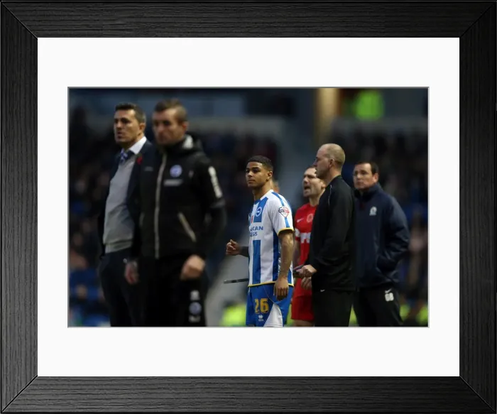 Framed Print : Brighton & Hove Albion vs. Blackburn Rovers (2013-14 Season) - Home Game Framed Print : Brighton & Hove Albion vs. Blackburn Rovers (2013-14 Season) - Home Game