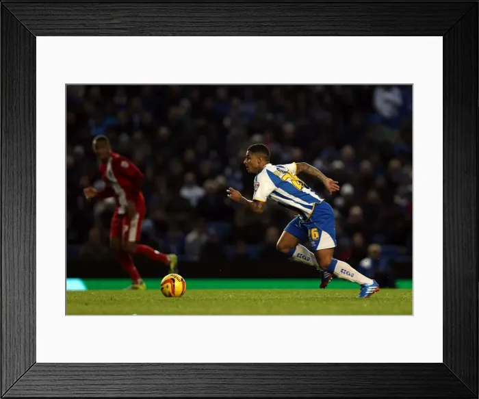 Framed Print : Brighton And Hove Albion Season 2013-14: 2013-14 Home Games: Blackburn Rovers - 09-11-2013 Framed Print : Brighton And Hove Albion Season 2013-14: 2013-14 Home Games: Blackburn Rovers - 09-11-2013