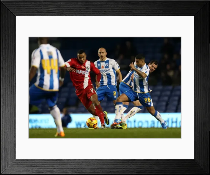 Framed Print : Brighton & Hove Albion vs. Blackburn Rovers (Home Game - 09-11-2013) Framed Print : Brighton & Hove Albion vs. Blackburn Rovers (Home Game - 09-11-2013)