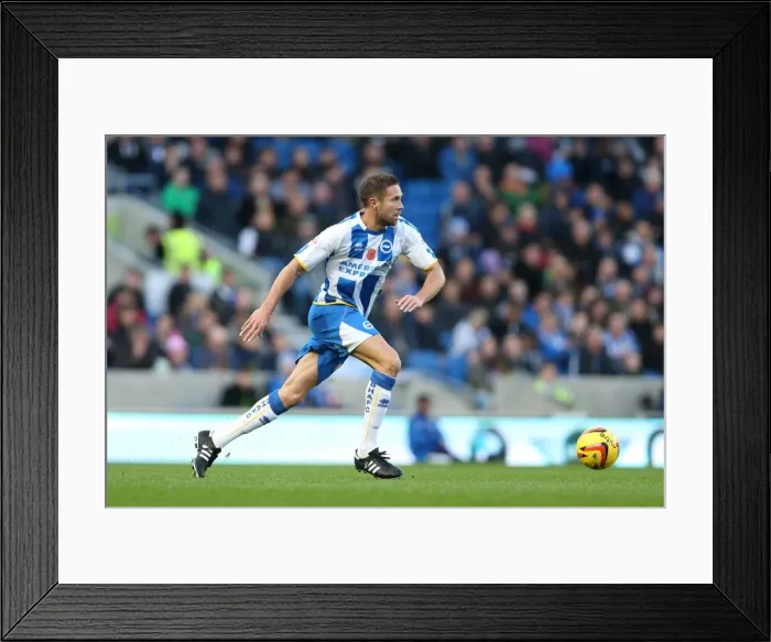 Framed Print : Brighton & Hove Albion vs. Blackburn Rovers (09-11-2013) - A Home Game from the 2013-14 Season Framed Print : Brighton & Hove Albion vs. Blackburn Rovers (09-11-2013) - A Home Game from the 2013-14 Season