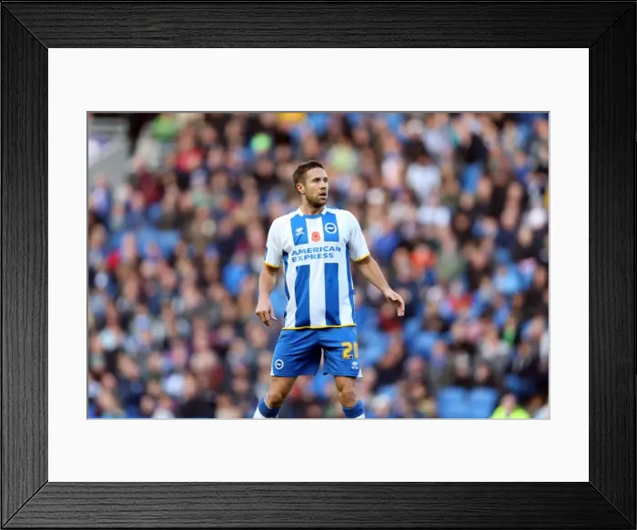 Framed Print : Brighton & Hove Albion vs. Blackburn Rovers (09-11-2013): A Home Game from the 2013-14 Season