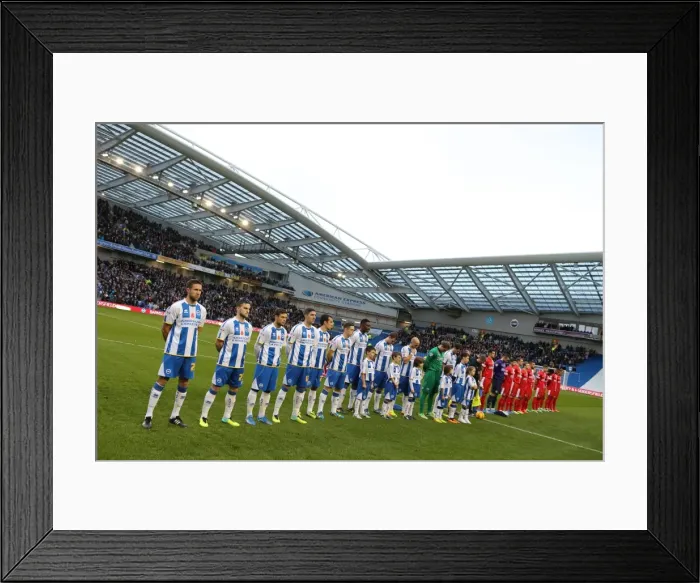 Framed Print : Brighton & Hove Albion vs. Blackburn Rovers (2013-14): A Home Game Framed Print : Brighton & Hove Albion vs. Blackburn Rovers (2013-14): A Home Game