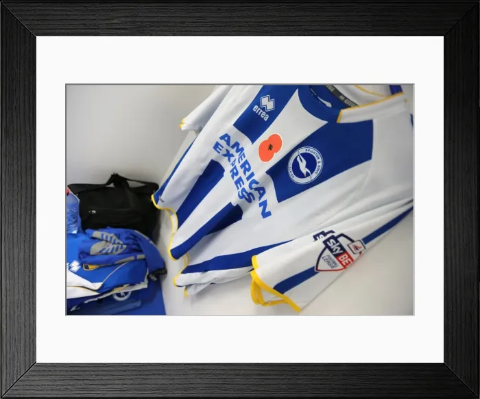 Framed Print : Brighton & Hove Albion vs. Blackburn Rovers (2013-14): A Home Game Framed Print : Brighton & Hove Albion vs. Blackburn Rovers (2013-14): A Home Game