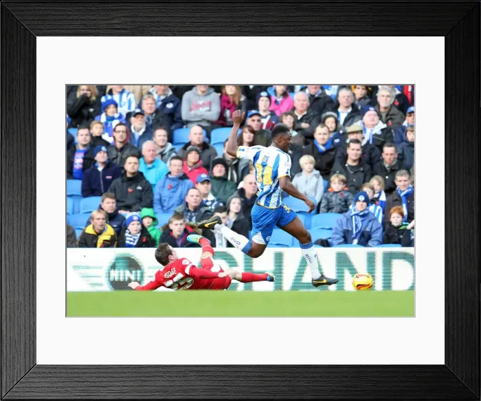 Framed Print : Brighton & Hove Albion vs. Blackburn Rovers (2013-14 Season) - A Home Game Framed Print : Brighton & Hove Albion vs. Blackburn Rovers (2013-14 Season) - A Home Game