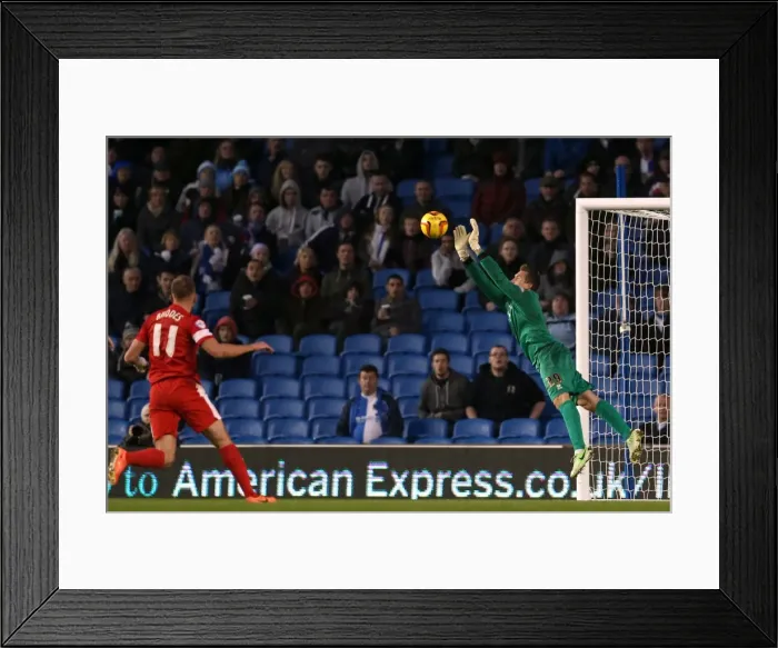 Framed Print : Brighton & Hove Albion vs. Blackburn Rovers (2013-14 Season) - Home Game Framed Print : Brighton & Hove Albion vs. Blackburn Rovers (2013-14 Season) - Home Game