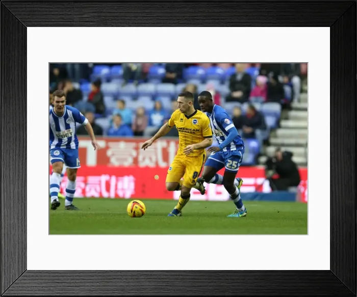 Framed Print : Brighton & Hove Albion vs. Wigan Athletic: Away Game - November 2013