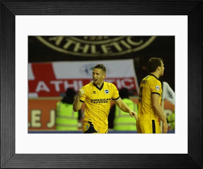 Framed Print : Brighton & Hove Albion vs. Wigan Athletic: Away Game - November 2013 (Season 2013-14)