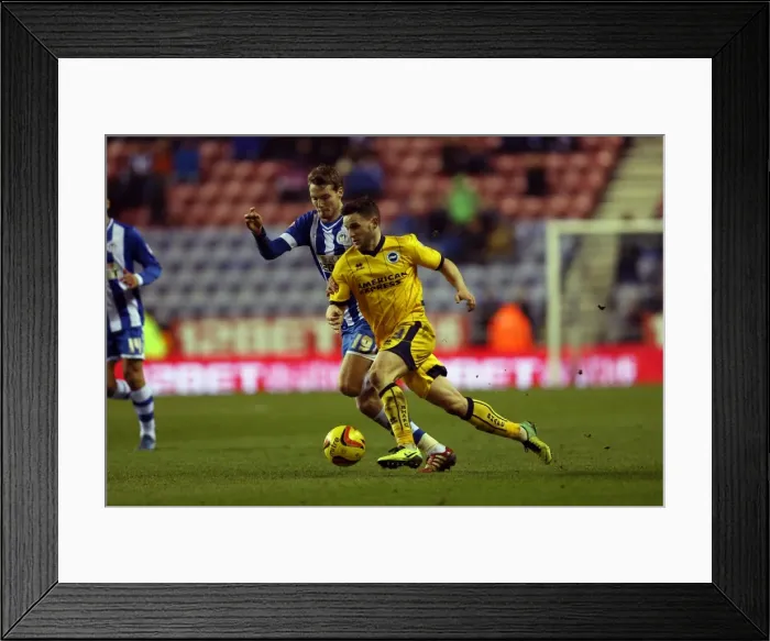 Framed Print : Brighton & Hove Albion vs. Wigan Athletic: Away Game - November 2013