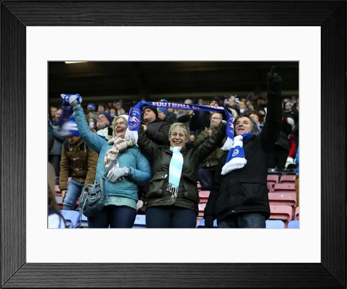 Framed Print : Brighton & Hove Albion vs. Wigan Athletic: Away Game - November 2013