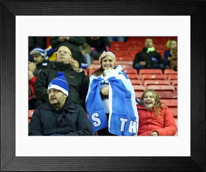 Framed Print : Brighton & Hove Albion vs. Wigan Athletic: 2013-14 Season Away Game Framed Print : Brighton & Hove Albion vs. Wigan Athletic: 2013-14 Season Away Game