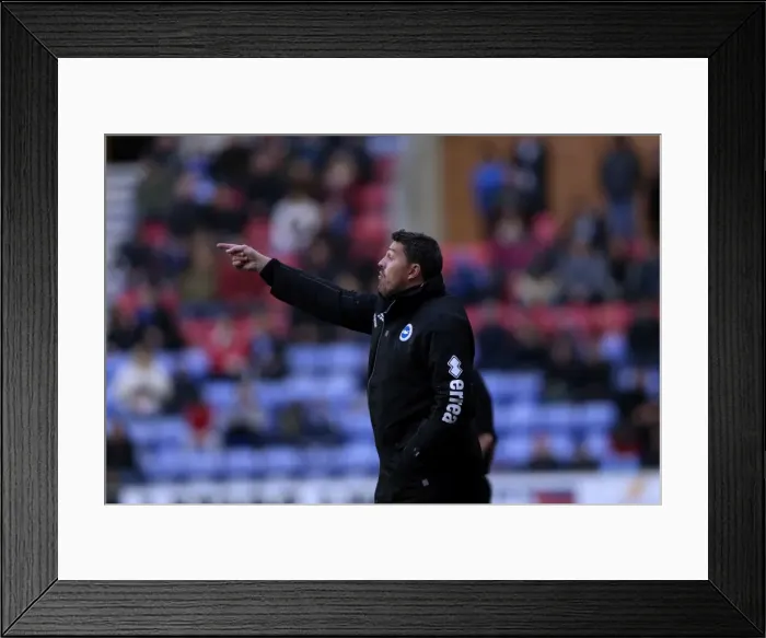 Framed Print : Brighton & Hove Albion vs. Wigan Athletic: 2013-14 Season - Away Game (November 23, 2013) Framed Print : Brighton & Hove Albion vs. Wigan Athletic: 2013-14 Season - Away Game (November 23, 2013)