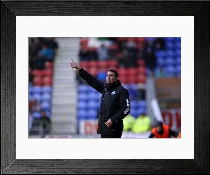 Framed Print : Brighton & Hove Albion vs. Wigan Athletic: 2013-14 Season - Away Game Framed Print : Brighton & Hove Albion vs. Wigan Athletic: 2013-14 Season - Away Game
