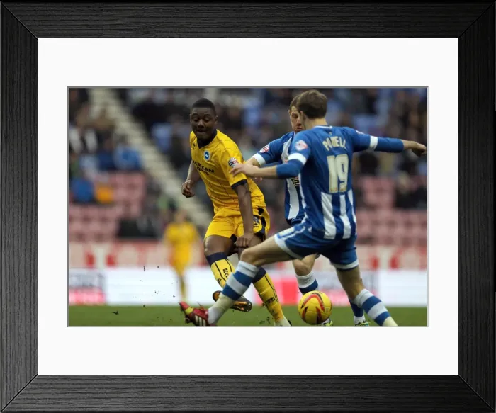 Framed Print : Brighton & Hove Albion vs. Wigan Athletic: 23-11-2013 - Away Game, 2013-14 Season Framed Print : Brighton & Hove Albion vs. Wigan Athletic: 23-11-2013 - Away Game, 2013-14 Season