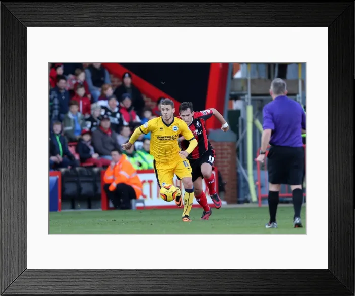 Framed Print : Brighton & Hove Albion vs. AFC Bournemouth (Away), 30-11-2013 Framed Print : Brighton & Hove Albion vs. AFC Bournemouth (Away), 30-11-2013