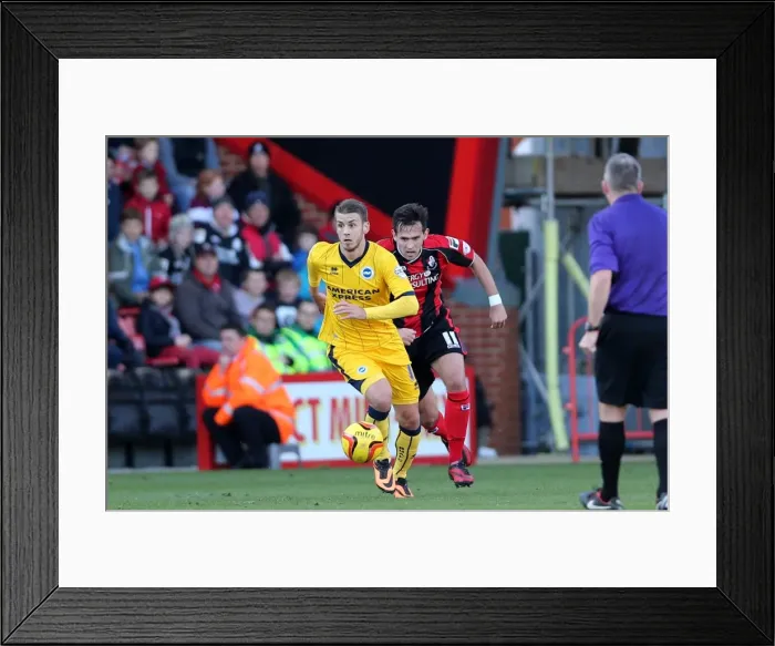 Framed Print : Brighton & Hove Albion vs. AFC Bournemouth (Away Game - 30-11-2013) Framed Print : Brighton & Hove Albion vs. AFC Bournemouth (Away Game - 30-11-2013)
