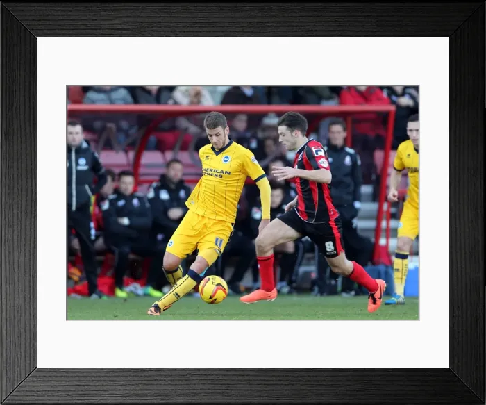 Framed Print : Brighton & Hove Albion vs. AFC Bournemouth (Away) - November 30, 2013: 2013-14 Season Away Game Framed Print : Brighton & Hove Albion vs. AFC Bournemouth (Away) - November 30, 2013: 2013-14 Season Away Game