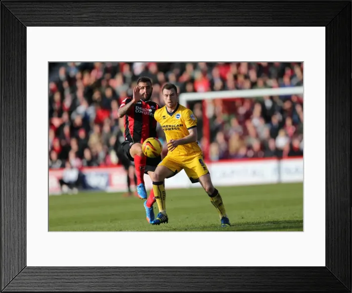Framed Print : Brighton & Hove Albion vs. AFC Bournemouth: 2013-14 Season Away Game Framed Print : Brighton & Hove Albion vs. AFC Bournemouth: 2013-14 Season Away Game