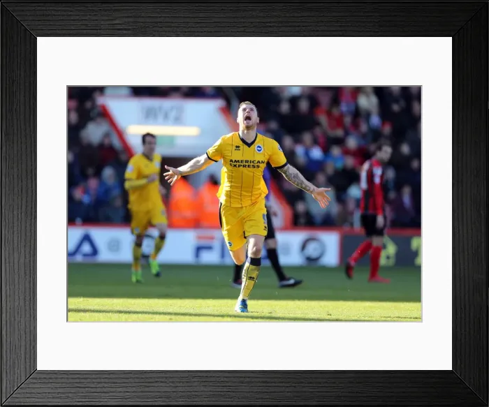 Framed Print : Brighton & Hove Albion vs. AFC Bournemouth: 2013-14 Away Game Framed Print : Brighton & Hove Albion vs. AFC Bournemouth: 2013-14 Away Game