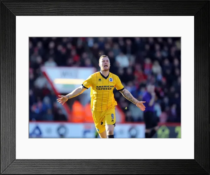 Framed Print : Brighton & Hove Albion vs. AFC Bournemouth: 2013-14 Away Game
