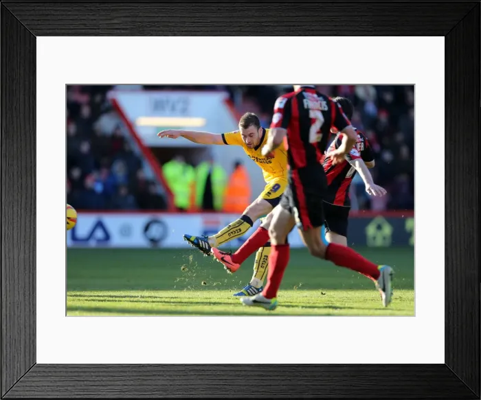 Framed Print : Brighton & Hove Albion vs. AFC Bournemouth (Away) - Season 2013-14: 30-11-2013 Framed Print : Brighton & Hove Albion vs. AFC Bournemouth (Away) - Season 2013-14: 30-11-2013