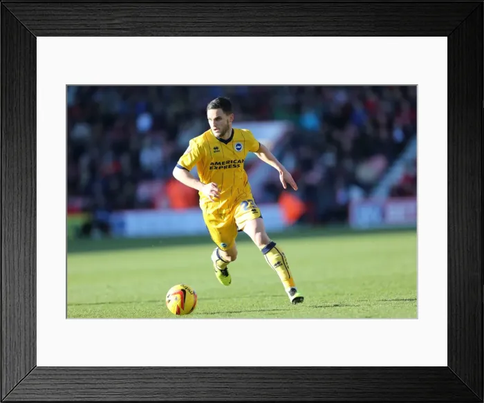 Framed Print : Brighton & Hove Albion vs. AFC Bournemouth (Away) - Season 2013-14: 30-11-2013 Framed Print : Brighton & Hove Albion vs. AFC Bournemouth (Away) - Season 2013-14: 30-11-2013
