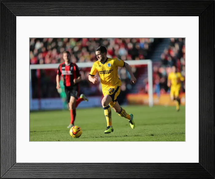Framed Print : AFC Bournemouth's Visit to Brighton & Hove Albion - November 2013 Framed Print : AFC Bournemouth's Visit to Brighton & Hove Albion - November 2013