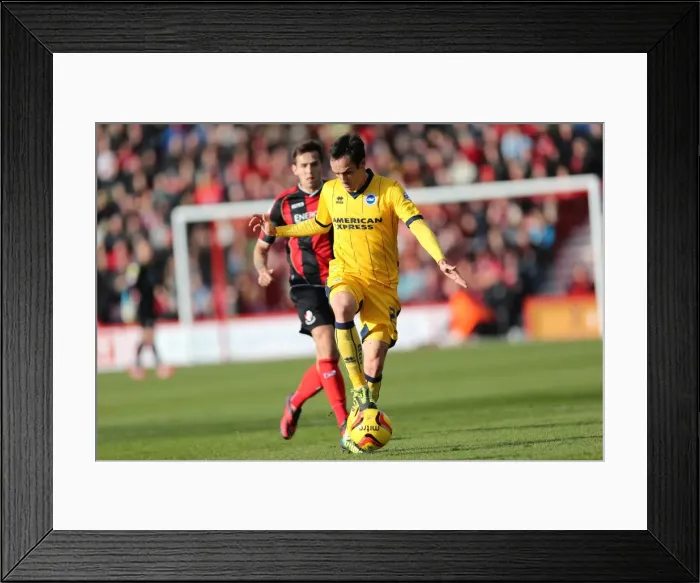 Framed Print : Brighton & Hove Albion vs. AFC Bournemouth: 2013-14 Away Game Framed Print : Brighton & Hove Albion vs. AFC Bournemouth: 2013-14 Away Game