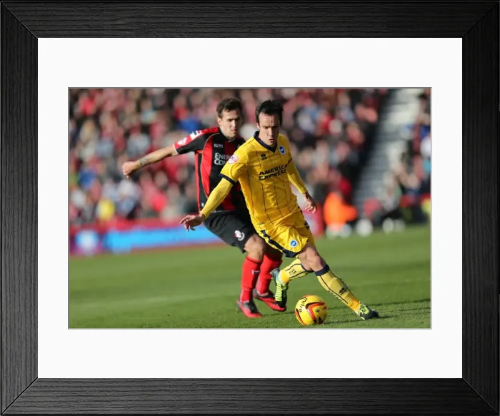 Framed Print : Brighton & Hove Albion vs. AFC Bournemouth (Away) - 30-11-2013: Season 2013-14 Away Game Framed Print : Brighton & Hove Albion vs. AFC Bournemouth (Away) - 30-11-2013: Season 2013-14 Away Game
