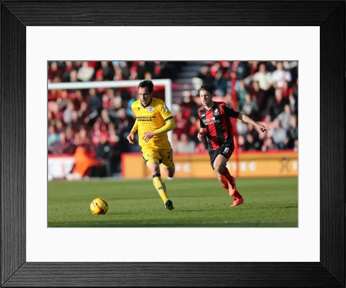 Framed Print : Brighton & Hove Albion vs. AFC Bournemouth: 2013-14 Away Game Framed Print : Brighton & Hove Albion vs. AFC Bournemouth: 2013-14 Away Game