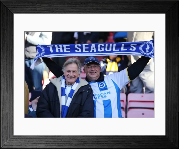 Framed Print : Brighton and Hove Albion Away Days 2013-14: Crowd Fever at AFC Bournemouth (November 30) Framed Print : Brighton and Hove Albion Away Days 2013-14: Crowd Fever at AFC Bournemouth (November 30)