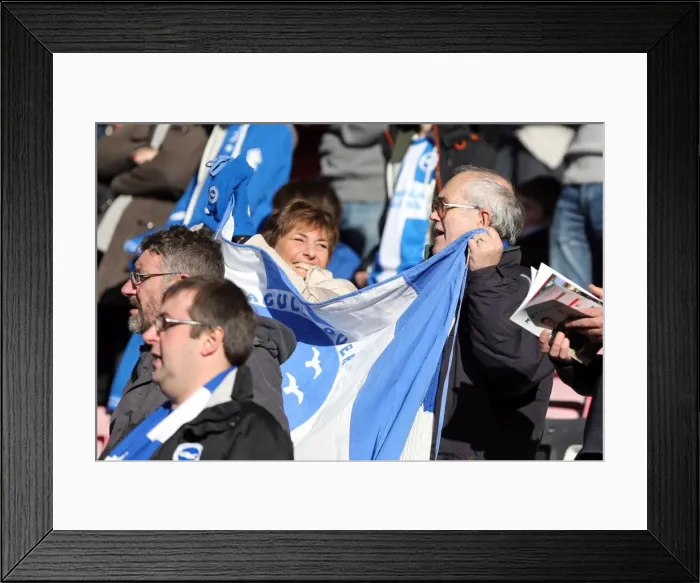 Framed Print : Brighton & Hove Albion vs AFC Bournemouth: Away Game - November 2013 Framed Print : Brighton & Hove Albion vs AFC Bournemouth: Away Game - November 2013