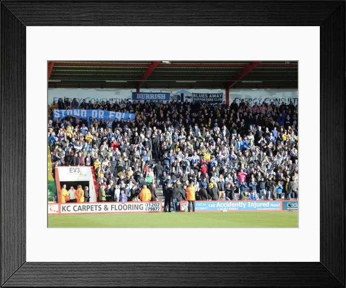 Framed Print : Brighton & Hove Albion vs. AFC Bournemouth: Away Game - November 2013 Framed Print : Brighton & Hove Albion vs. AFC Bournemouth: Away Game - November 2013
