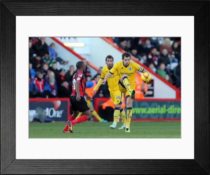 Framed Print : Brighton & Hove Albion vs AFC Bournemouth: Away Game (November 2013) Framed Print : Brighton & Hove Albion vs AFC Bournemouth: Away Game (November 2013)