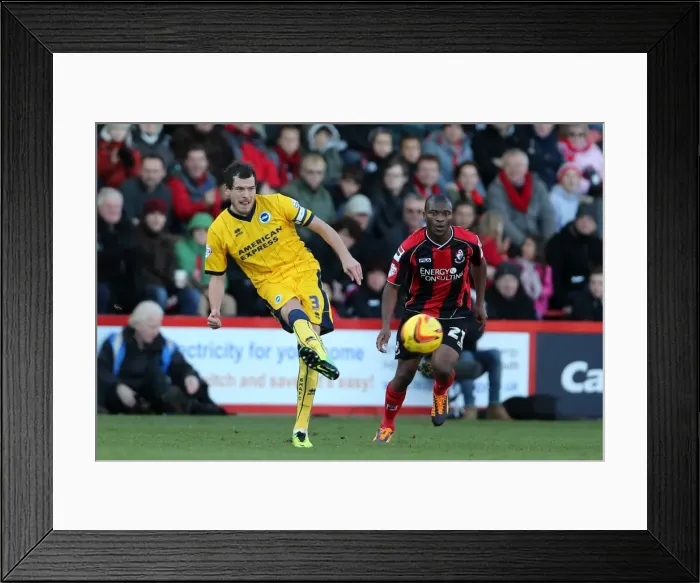 Framed Print : AFC Bournemouth's Visit to Brighton & Hove Albion - November 2013 Framed Print : AFC Bournemouth's Visit to Brighton & Hove Albion - November 2013
