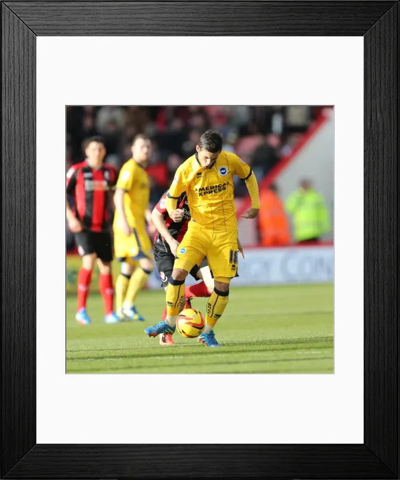 Framed Print : Brighton & Hove Albion vs. AFC Bournemouth: 2013-14 Away Game Framed Print : Brighton & Hove Albion vs. AFC Bournemouth: 2013-14 Away Game