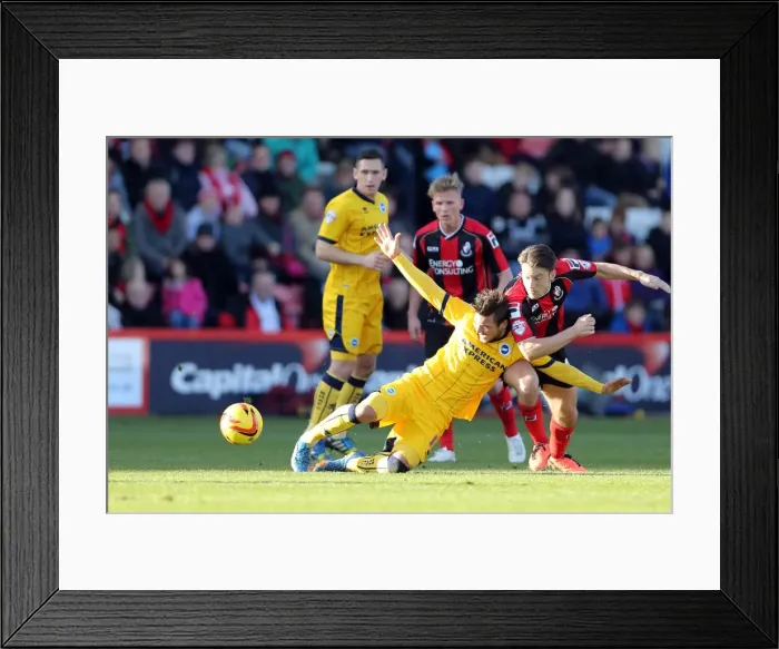 Framed Print : AFC Bournemouth at Brighton & Hove Albion: 2013-14 Season Away Game Framed Print : AFC Bournemouth at Brighton & Hove Albion: 2013-14 Season Away Game