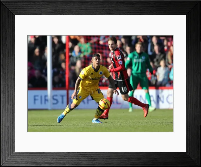 Framed Print : Brighton & Hove Albion vs. AFC Bournemouth (Away) - Season 2013-14: 30-11-2013