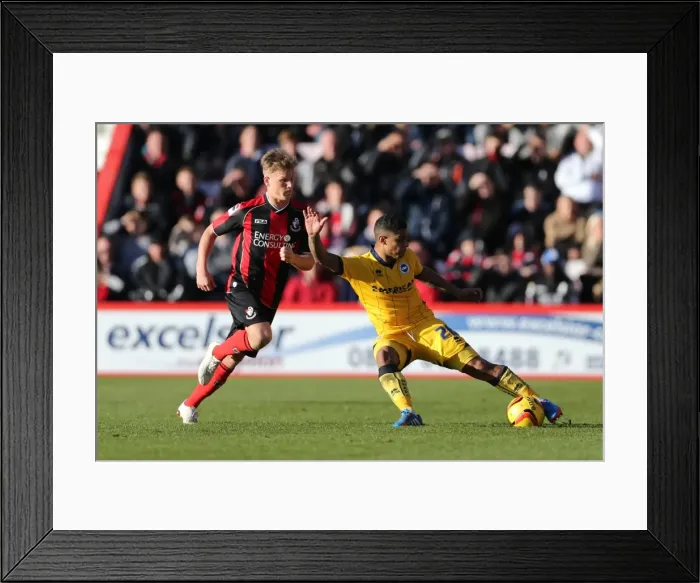 Framed Print : Brighton & Hove Albion vs. AFC Bournemouth: 2013-14 Away Game - November 30 Framed Print : Brighton & Hove Albion vs. AFC Bournemouth: 2013-14 Away Game - November 30