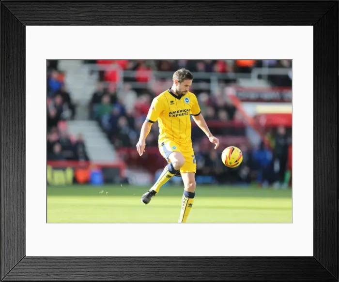 Framed Print : Brighton & Hove Albion vs AFC Bournemouth: Away Game - November 2013 Framed Print : Brighton & Hove Albion vs AFC Bournemouth: Away Game - November 2013