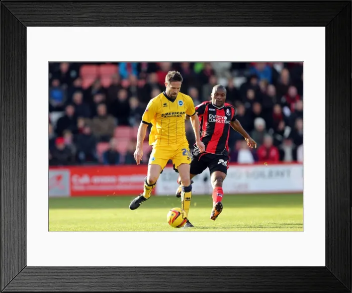 Framed Print : Brighton & Hove Albion vs. AFC Bournemouth: 2013-14 Away Game Framed Print : Brighton & Hove Albion vs. AFC Bournemouth: 2013-14 Away Game