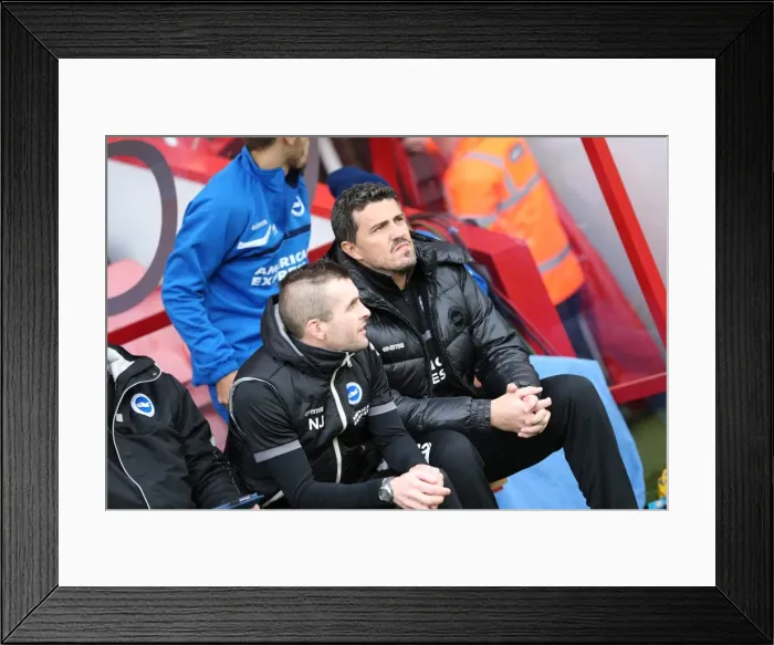 Framed Print : Brighton & Hove Albion vs. AFC Bournemouth (Away) - 30-11-2013: A Season 2013-14 Away Game
