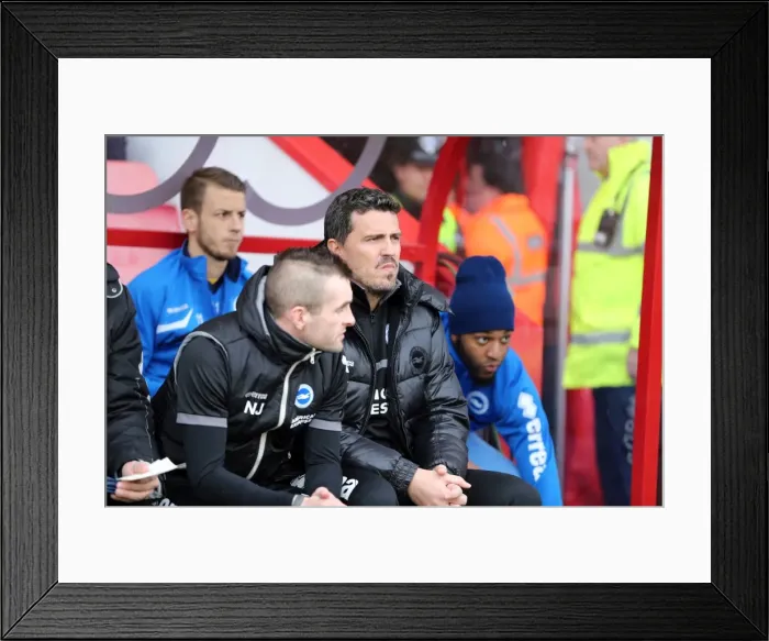 Framed Print : AFC Bournemouth at Brighton & Hove Albion: 2013-14 Season Away Game (November 30) Framed Print : AFC Bournemouth at Brighton & Hove Albion: 2013-14 Season Away Game (November 30)