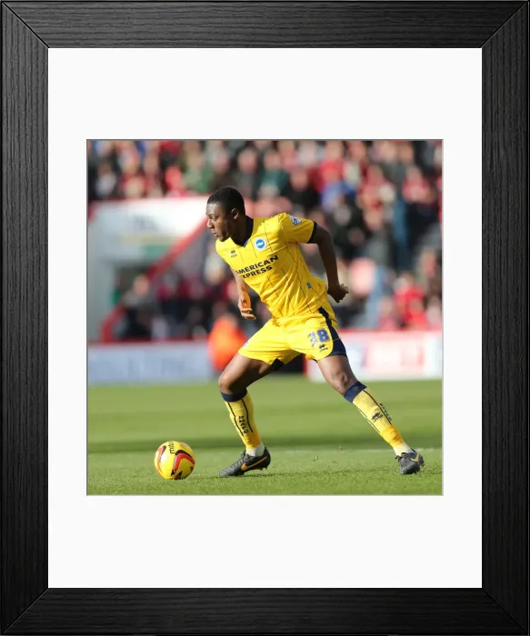 Framed Print : Brighton & Hove Albion vs. AFC Bournemouth: 2013-14 Away Game Framed Print : Brighton & Hove Albion vs. AFC Bournemouth: 2013-14 Away Game