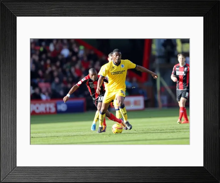 Framed Print : Brighton & Hove Albion vs. AFC Bournemouth: 2013-14 Season - Away Game Framed Print : Brighton & Hove Albion vs. AFC Bournemouth: 2013-14 Season - Away Game